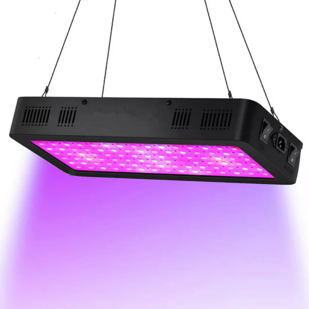 Cokolila 600w - Günstige LED Pflanzenlampe für Überwinterung Cokolila 600w - Günstige LED Pflanzenlampe für Überwinterung