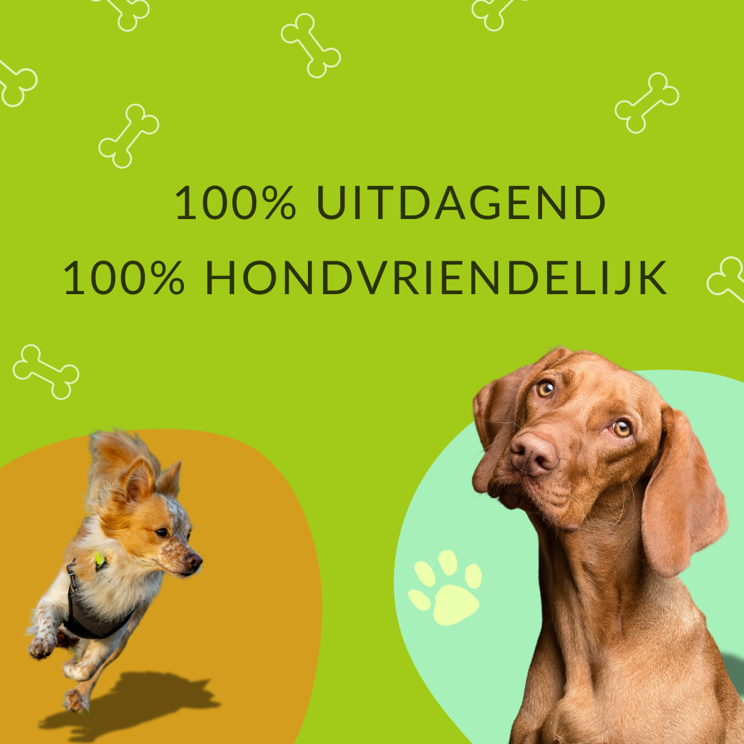 Horde set (2 stuks) - agility voor de hond