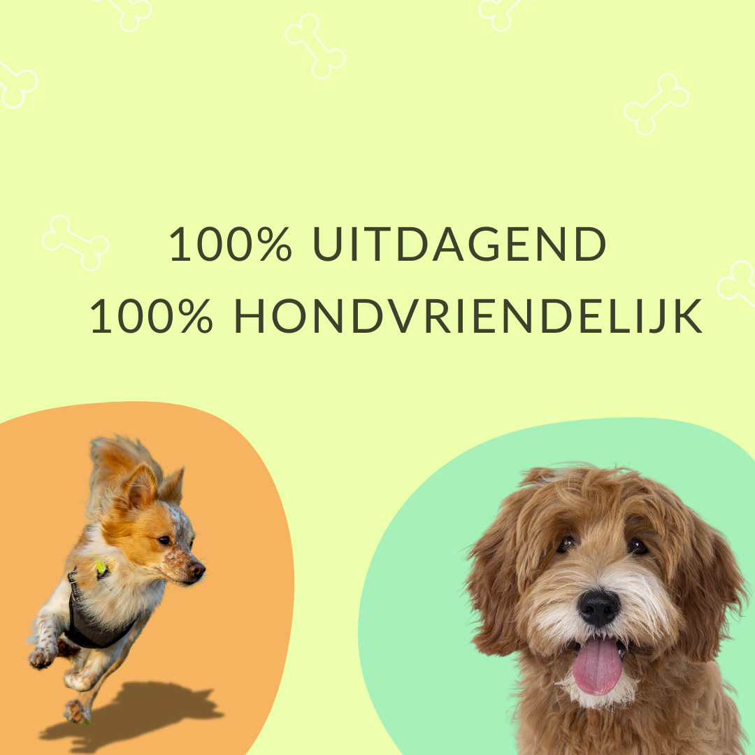 Agility hondentunnel 3 meter