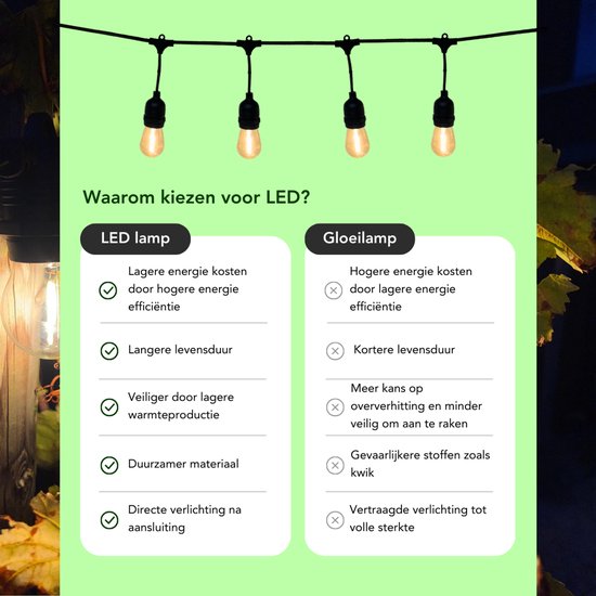 5 meter lichtsnoer met 10 peervormige LED lampen + 2 meter aansluitsnoer