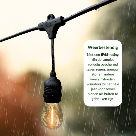 5 meter lichtsnoer met 10 peervormige LED lampen + 2 meter aansluitsnoer