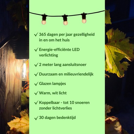 10 meter lichtsnoer inclusief 10 LED lampen