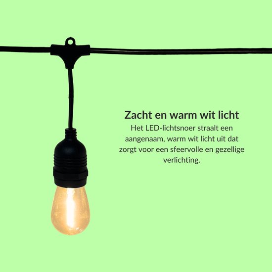 5 meter lichtsnoer met 10 peervormige LED lampen + 2 meter aansluitsnoer