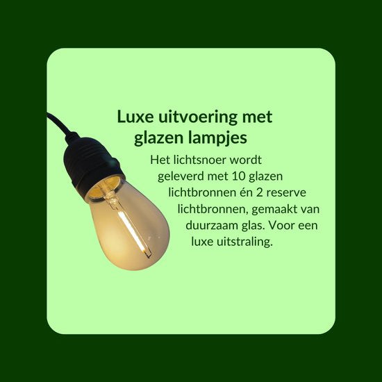 5 meter lichtsnoer met 10 peervormige LED lampen + 2 meter aansluitsnoer