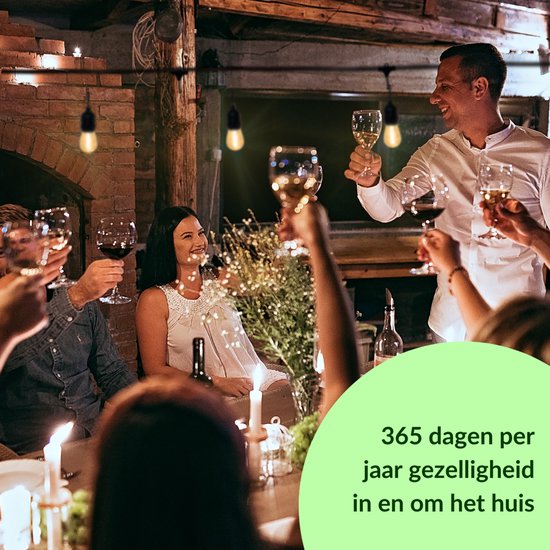 5 meter lichtsnoer met 10 peervormige LED lampen + 2 meter aansluitsnoer