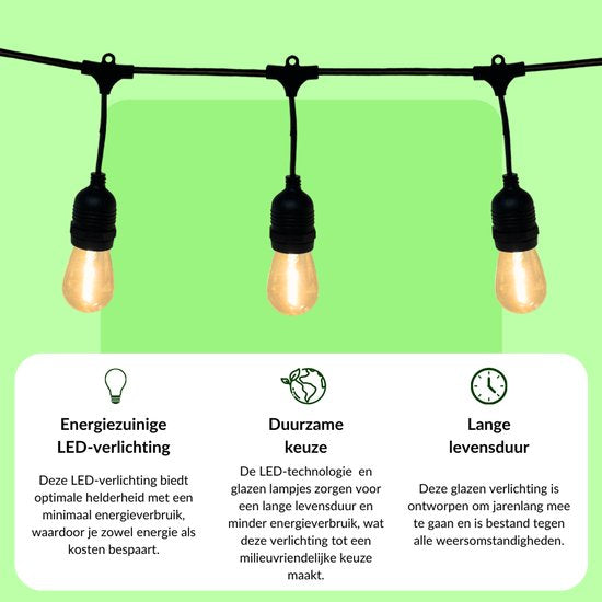 5 meter lichtsnoer met 10 peervormige LED lampen + 2 meter aansluitsnoer