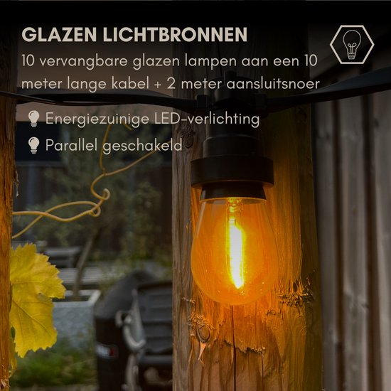 10 meter professioneel lichtsnoer met 10 peervormige LED lampen + 2 meter aansluitsnoer
