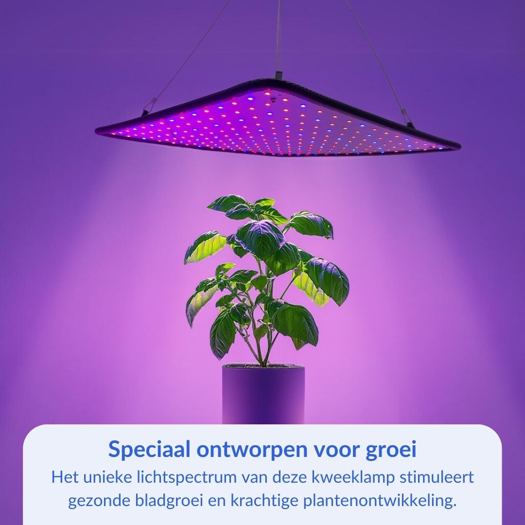 Groeilamp LED - voor de groei - 30 x 30 cm
