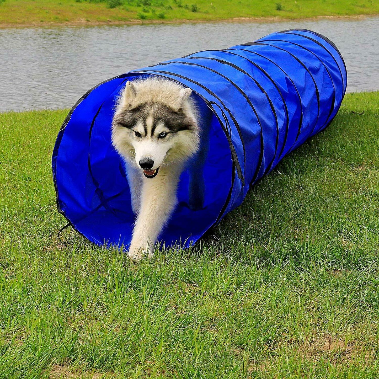 Complete agility set voor honden - 300 cm
