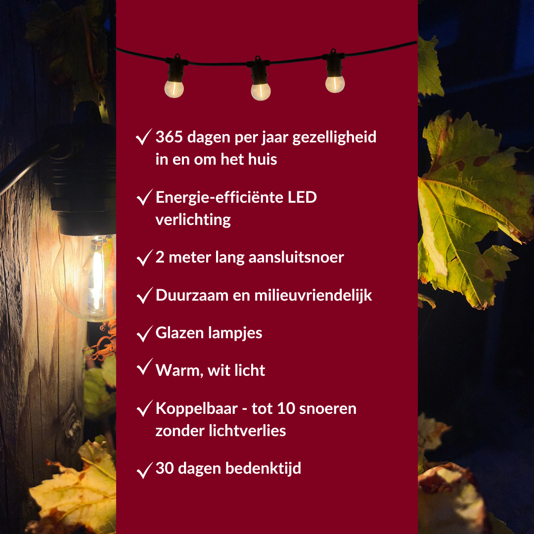 10 meter lichtsnoer inclusief 10 LED lampen