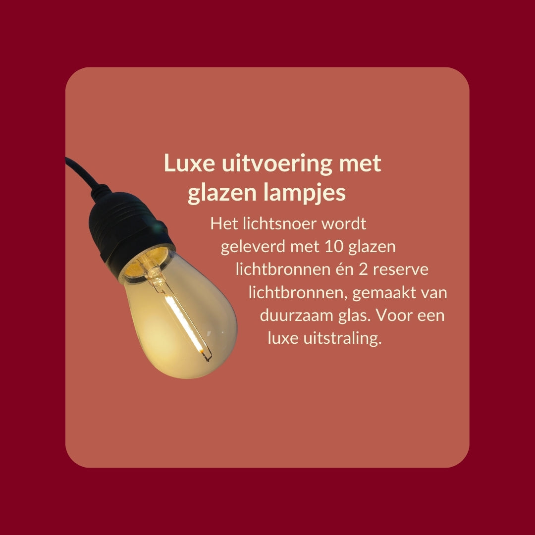 10 meter lichtsnoer met 10 peervormige LED lampen + 2 meter aansluitsnoer