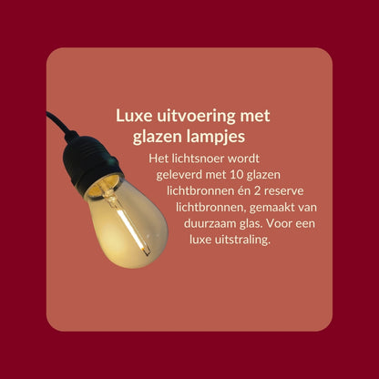 10 meter lichtsnoer met 10 peervormige LED lampen + 2 meter aansluitsnoer