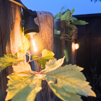 10 meter professioneel lichtsnoer met 10 peervormige LED lampen + 2 meter aansluitsnoer