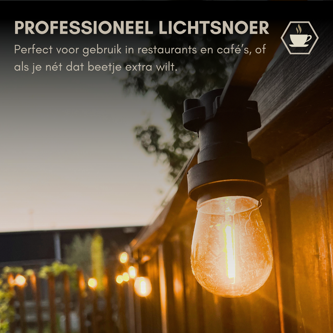 10 meter professioneel lichtsnoer met 10 peervormige LED lampen + 2 meter aansluitsnoer