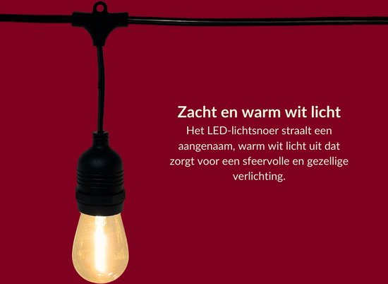 5 meter lichtsnoer met 10 peervormige LED lampen + 2 meter aansluitsnoer