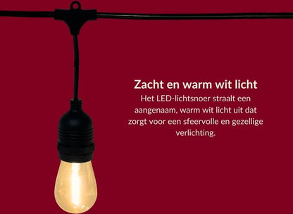 5 meter lichtsnoer met 10 peervormige LED lampen + 2 meter aansluitsnoer