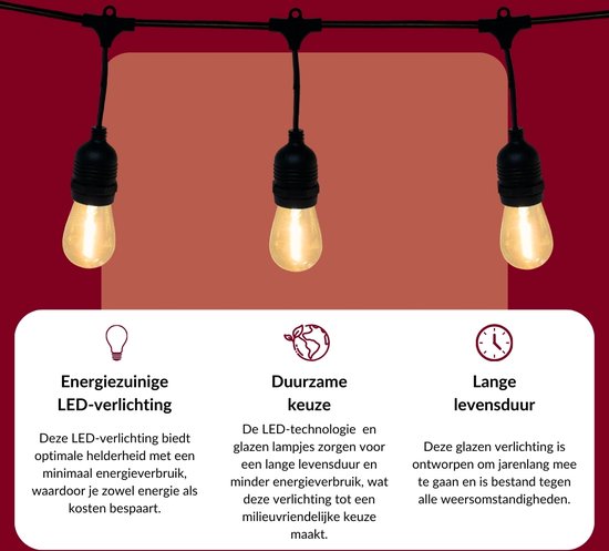 5 meter lichtsnoer met 10 peervormige LED lampen + 2 meter aansluitsnoer