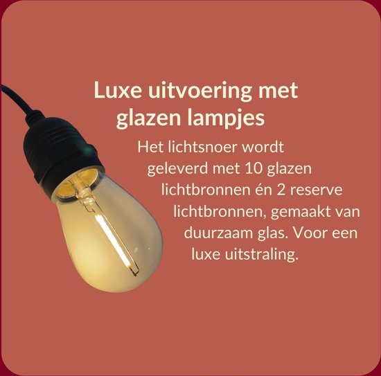 5 meter lichtsnoer met 10 peervormige LED lampen + 2 meter aansluitsnoer