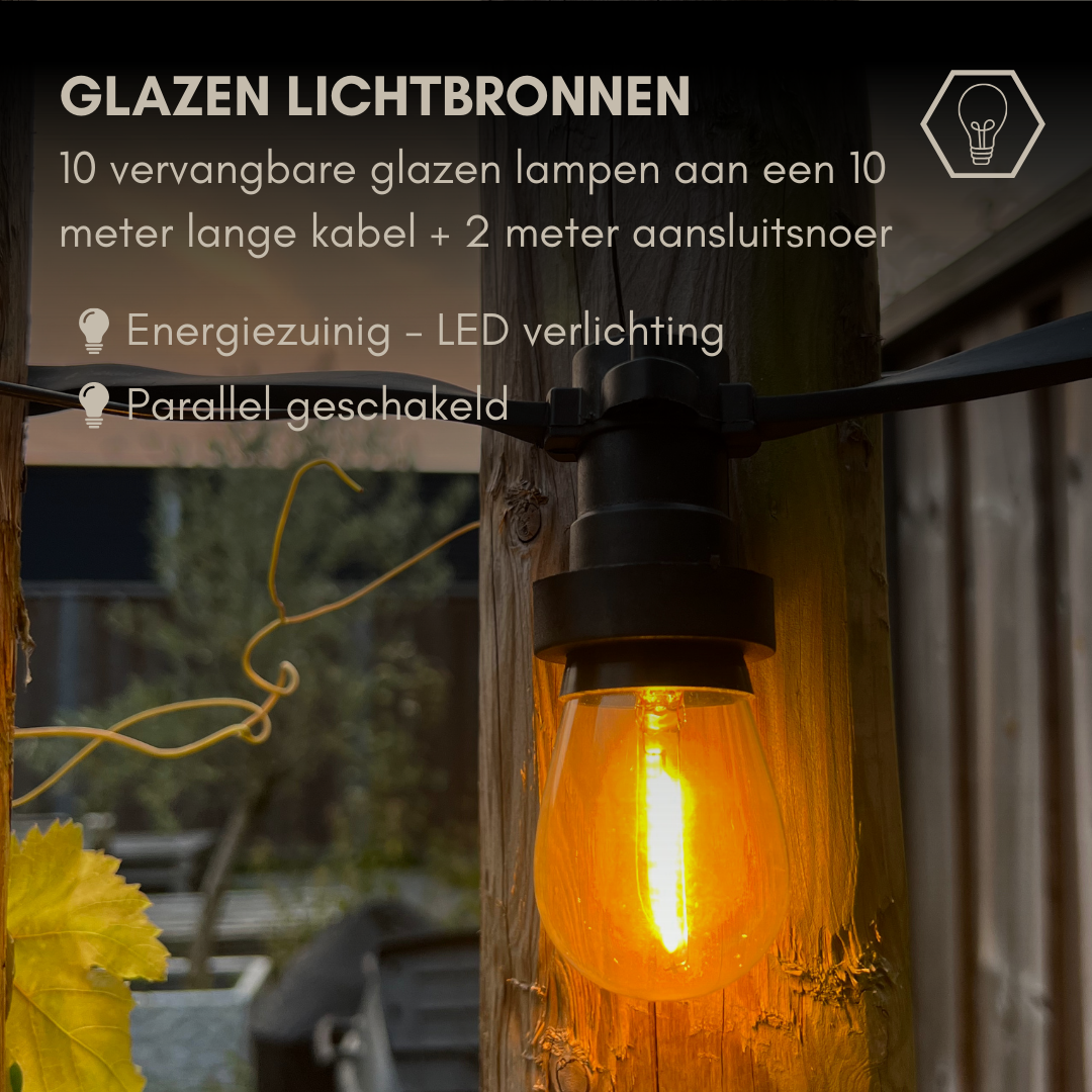 10 meter professioneel lichtsnoer met 10 peervormige LED lampen + 2 meter aansluitsnoer