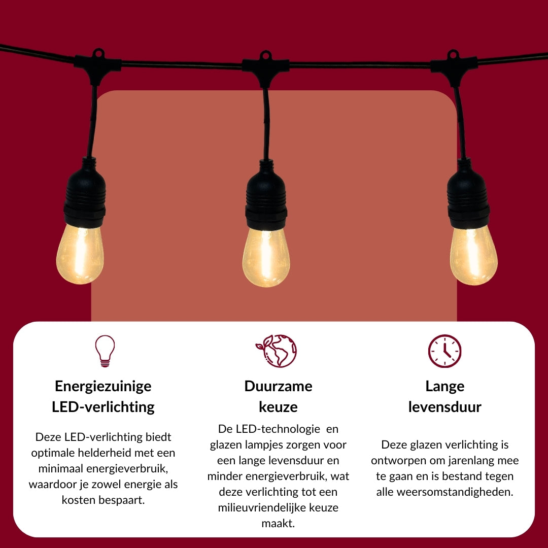 10 meter lichtsnoer met 10 peervormige LED lampen + 2 meter aansluitsnoer