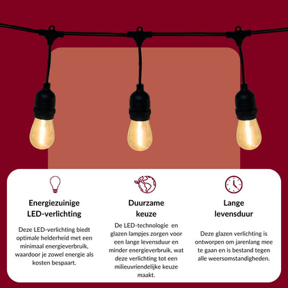 10 meter lichtsnoer met 10 peervormige LED lampen + 2 meter aansluitsnoer