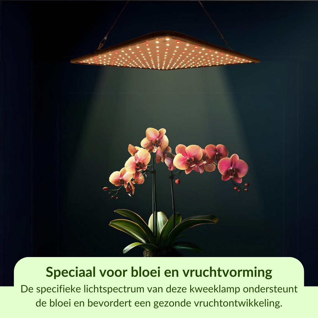 Groeilamp LED - voor de bloei - 30 x 30 cm