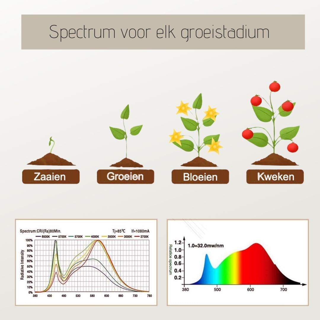 Groeilamp op standaard – 160 cm hoog – warm wit licht (stimuleert bloei) - inclusief USB voeding