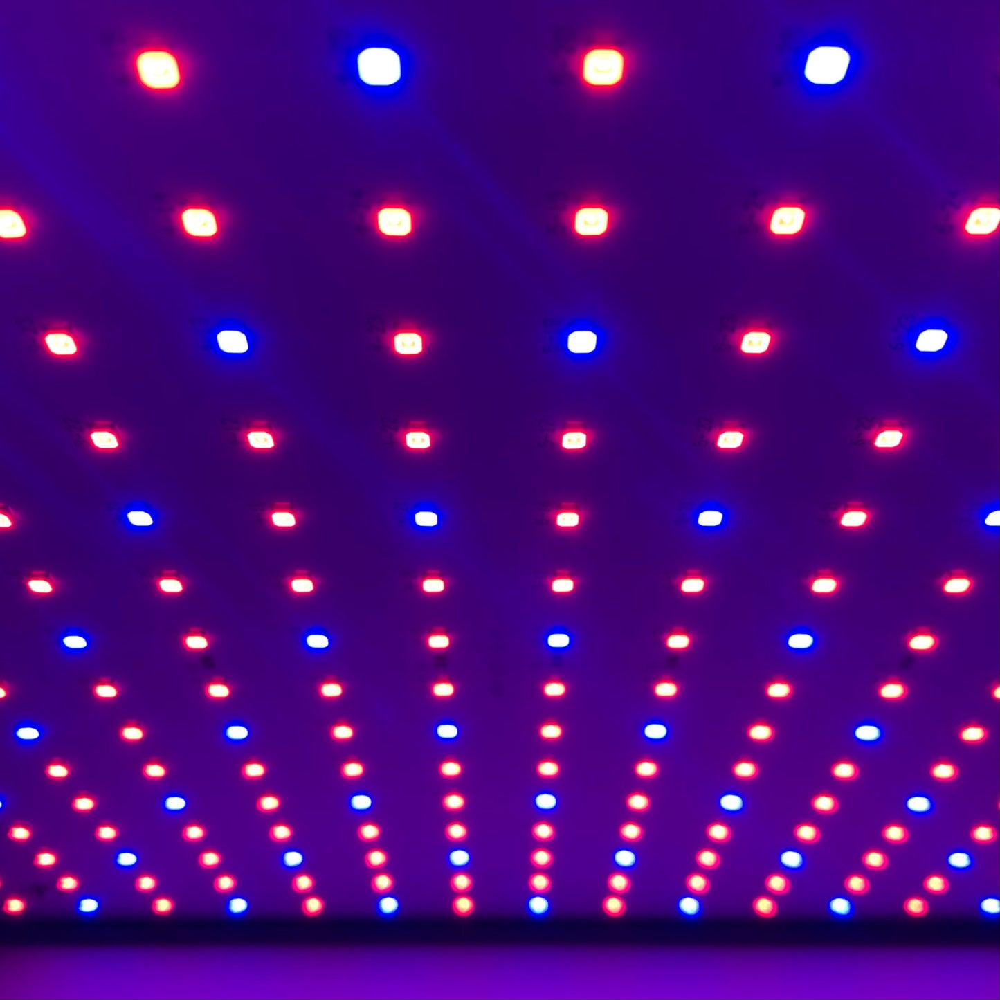 Groeilamp LED - voor de groei - 30 x 30 cm