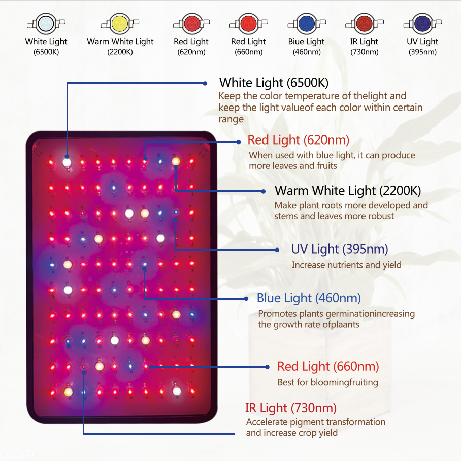 Groeilamp 1000 watt - full spectrum - 31 x 21 cm