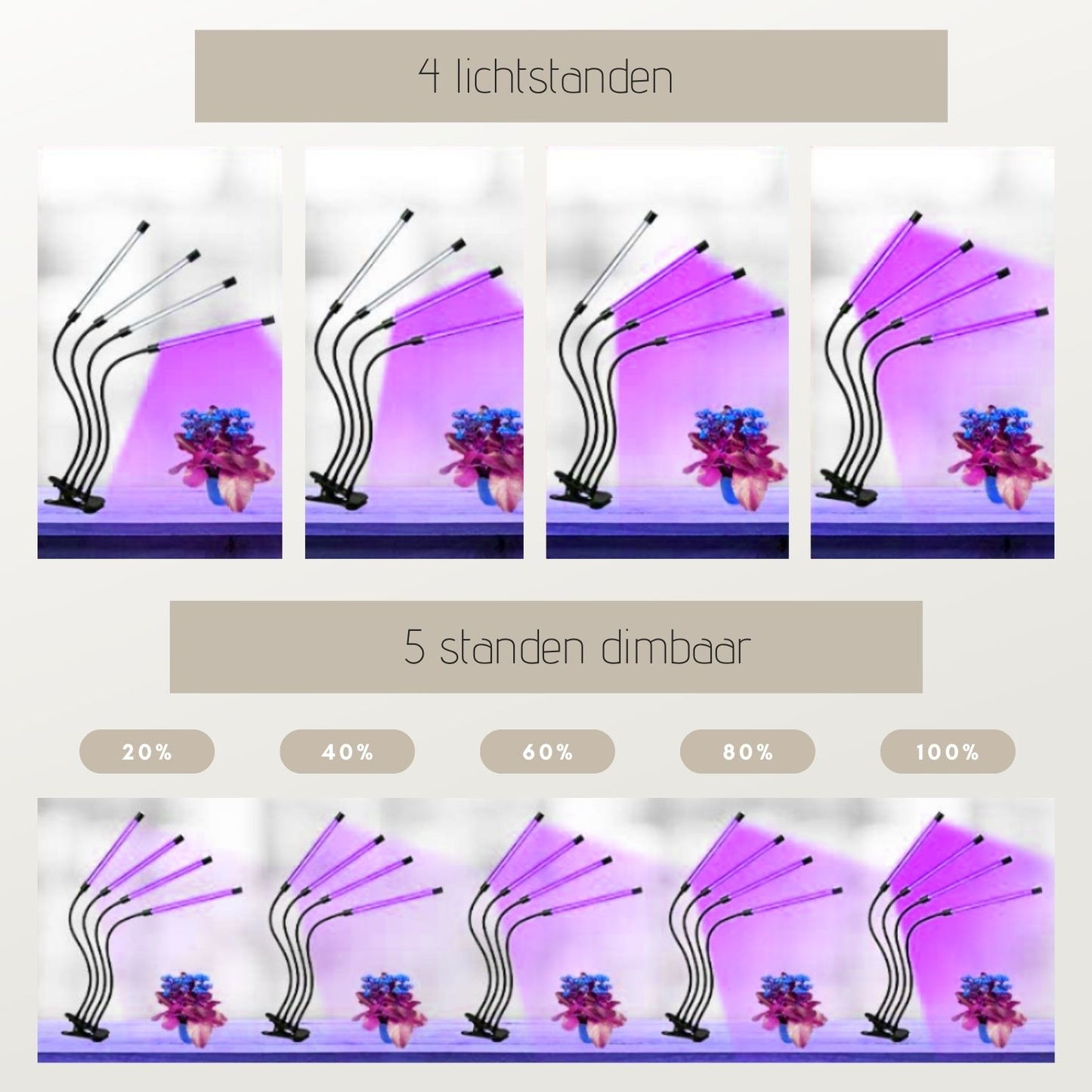 Groeilamp op standaard – 160 cm hoog – paars licht (stimuleert groei) - inclusief USB voeding