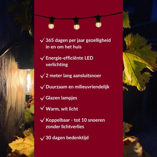 5 meter lichtsnoer + 2 meter aansluitsnoer inclusief 10 LED lampen